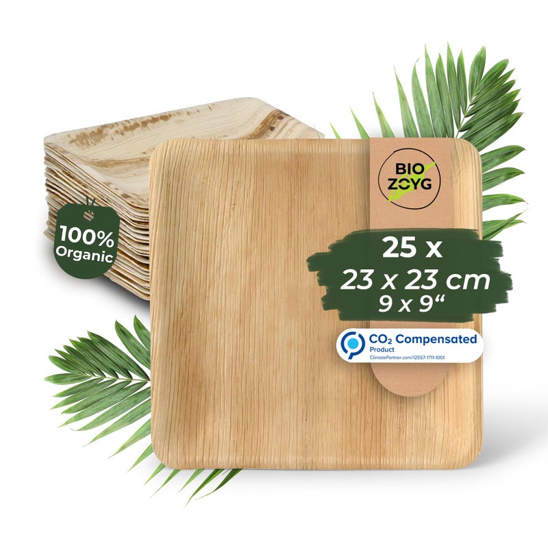 BIOZOYG Disposable Plates 25 Pack 9 Inch Square Palm Leaf Plates - Tableware Compostable Disposable - High-Quality Alternative to Bamboo Plates - Party Tableware - Image 1